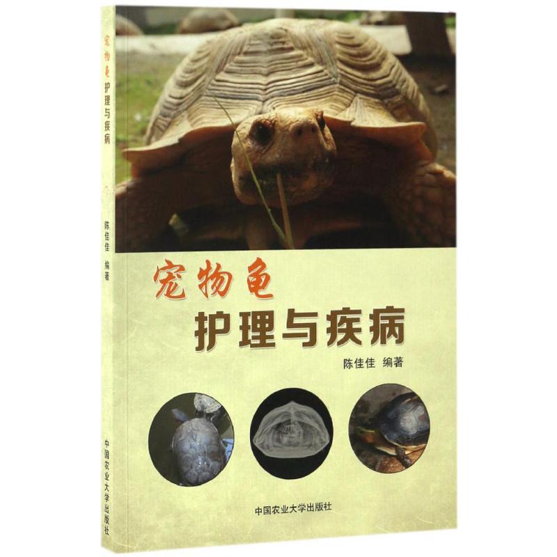 宠物龟护理与疾病