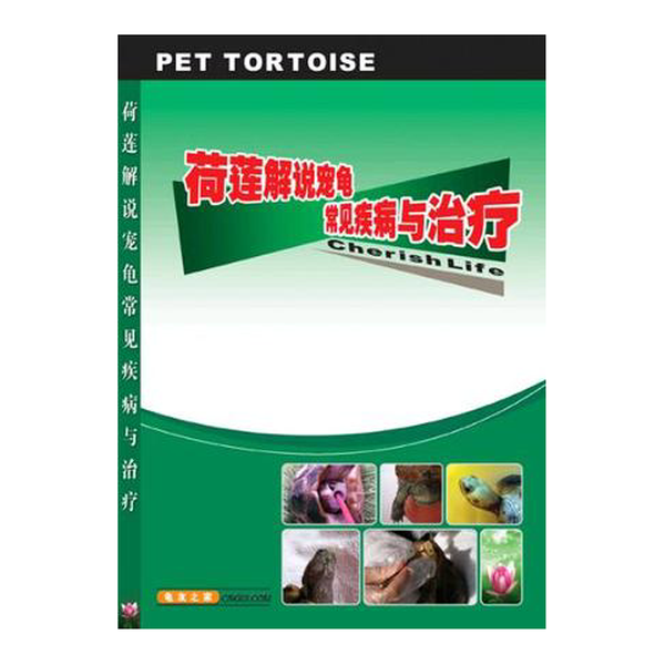 荷莲解说宠物龟常见疾病与治疗