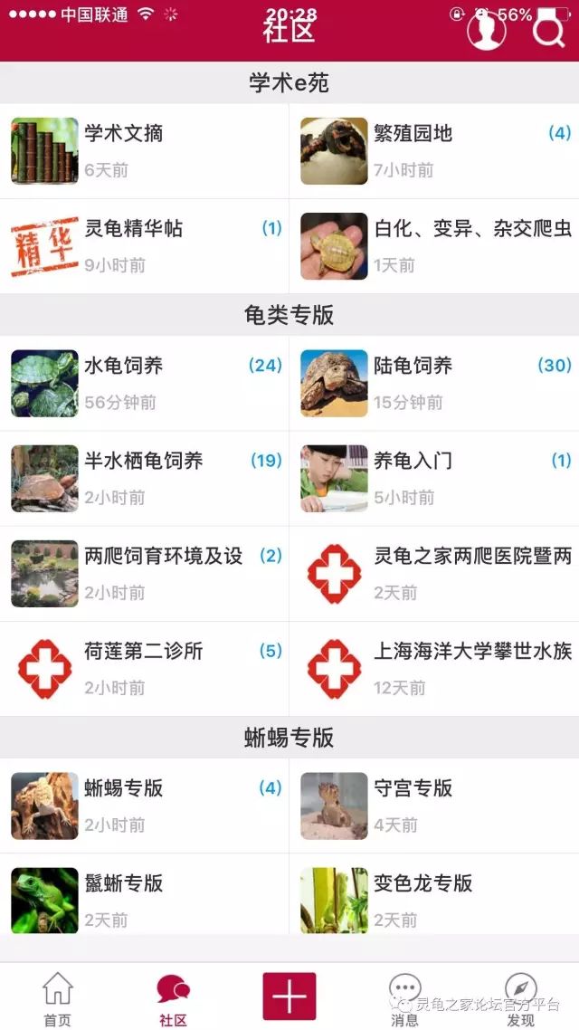 [多品种] 灵龟之家百象馆-沈卫老师