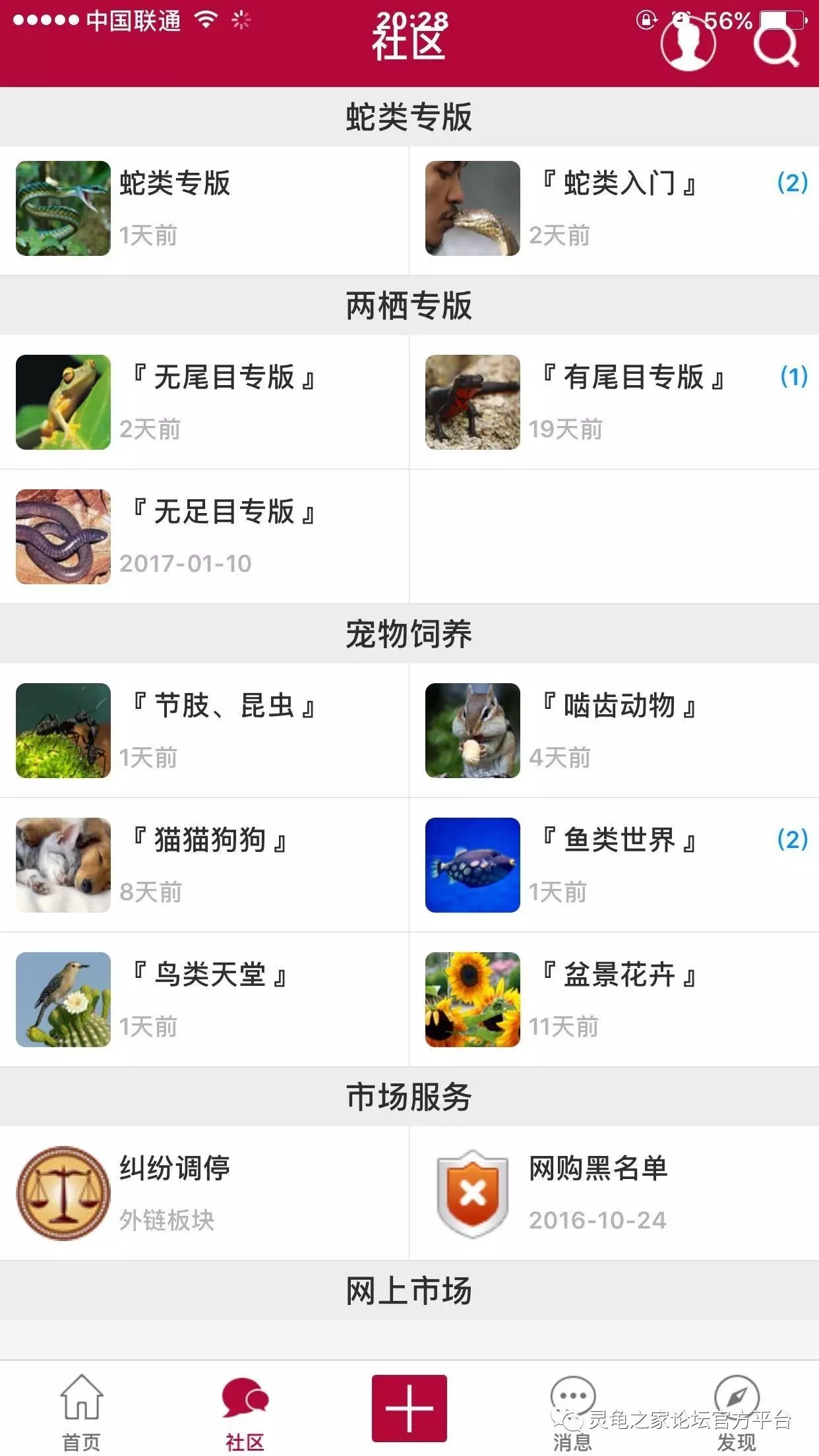 [多品种] 灵龟之家百象馆-沈卫老师