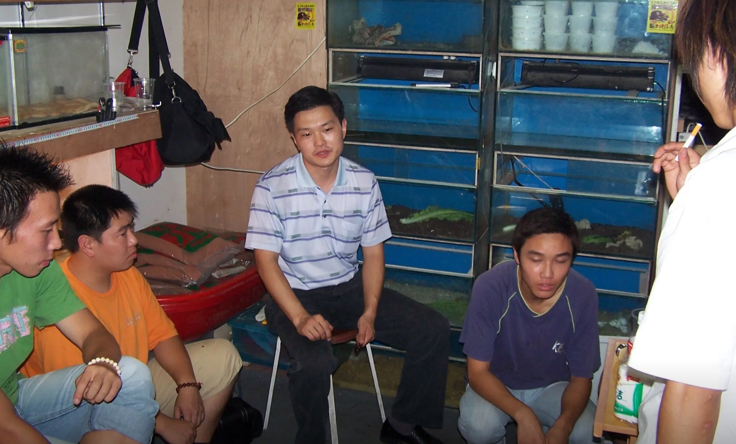 [多品种] 灵龟之家百象馆-沈卫老师