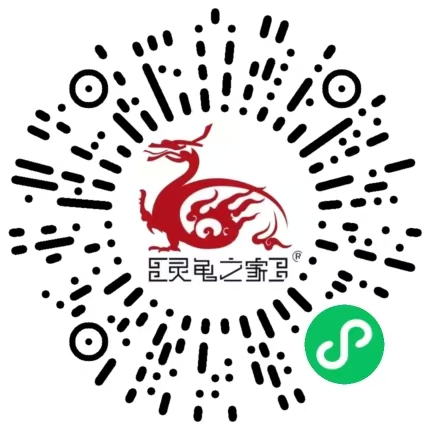 [多品种] 灵龟之家百象馆-沈卫老师