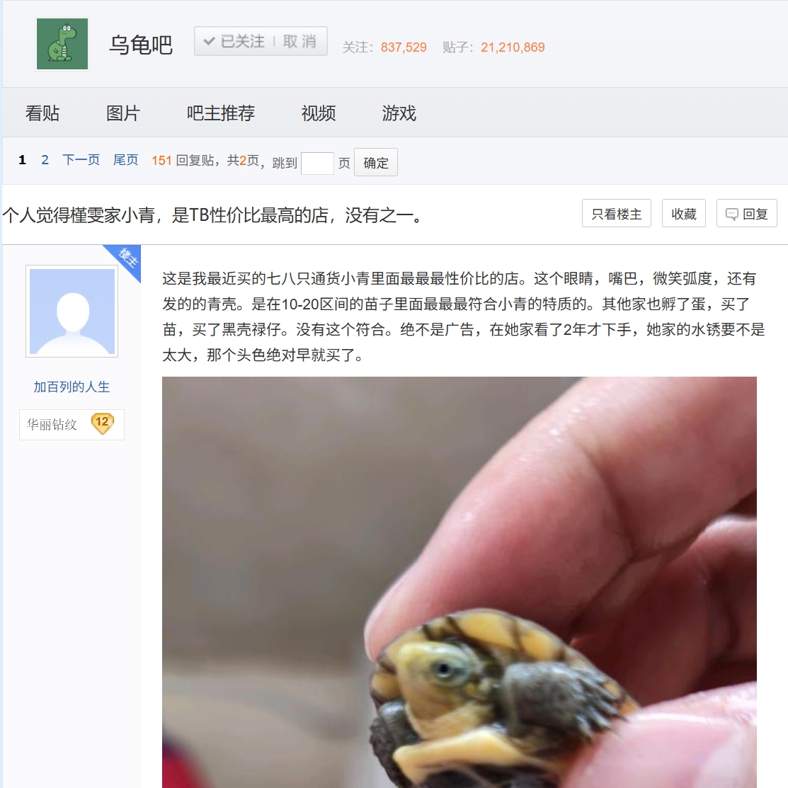 [入门小青] 槿雯家的龟