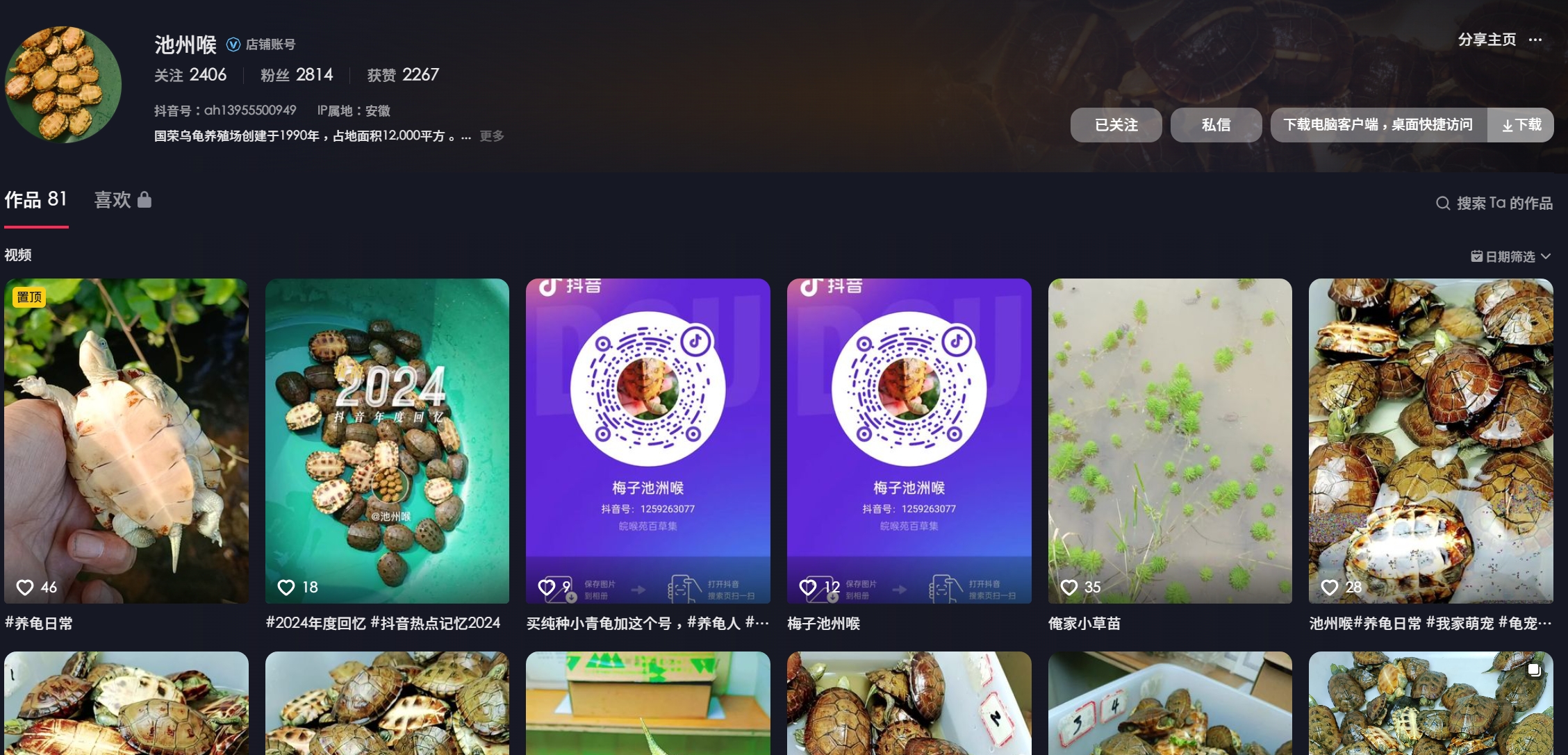 [三黄小青] 池州喉-梅子龟园