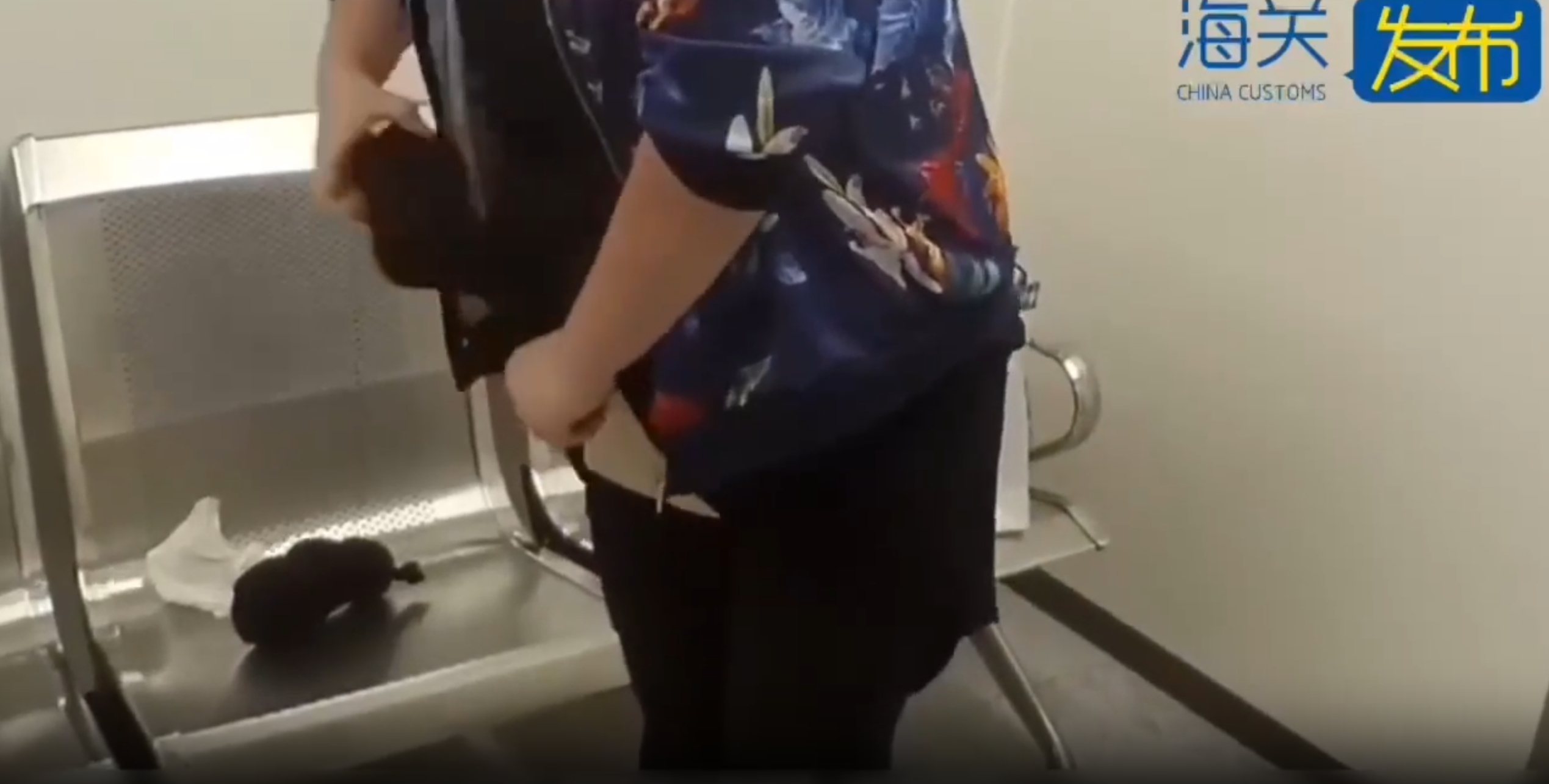 2人身绑28只活体龟入境