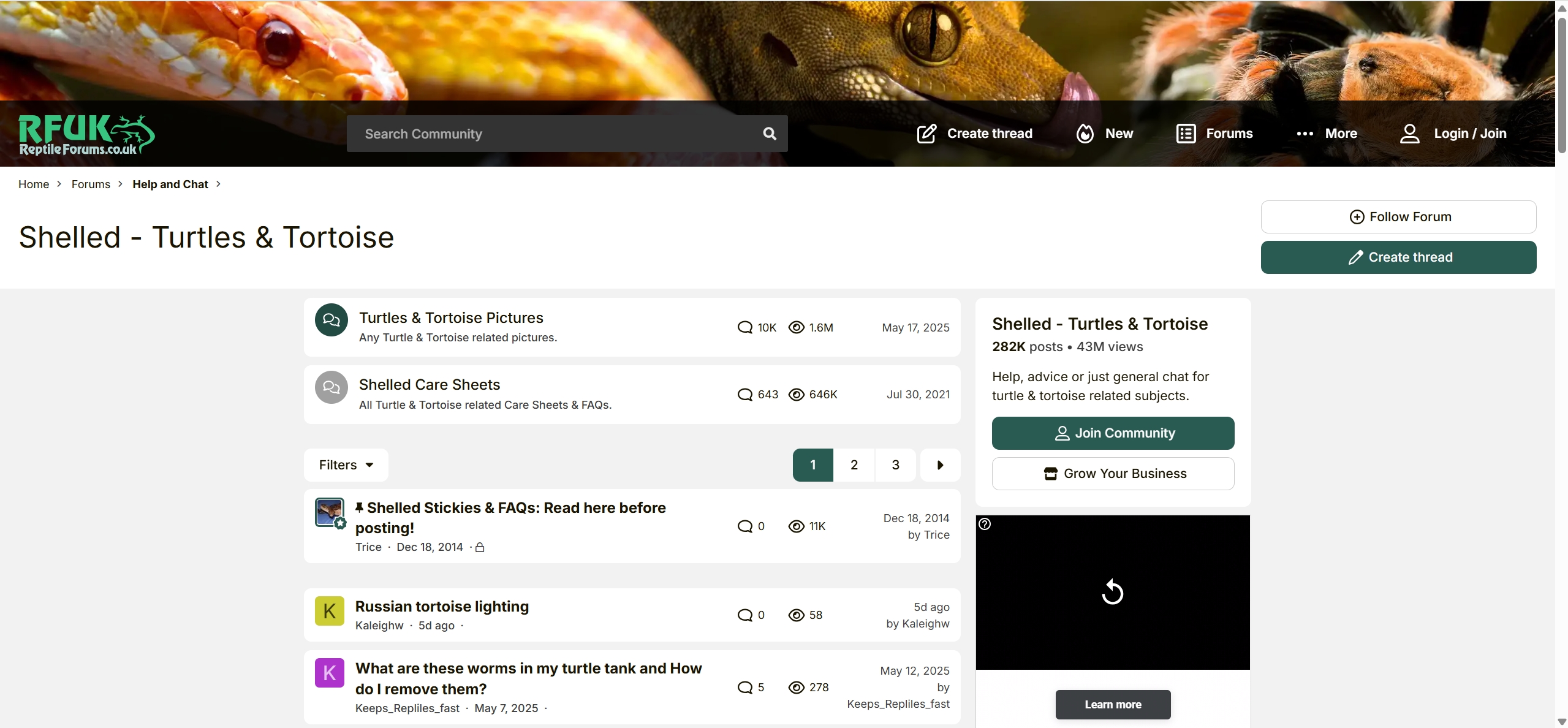 Reptile Forums UK / 英国