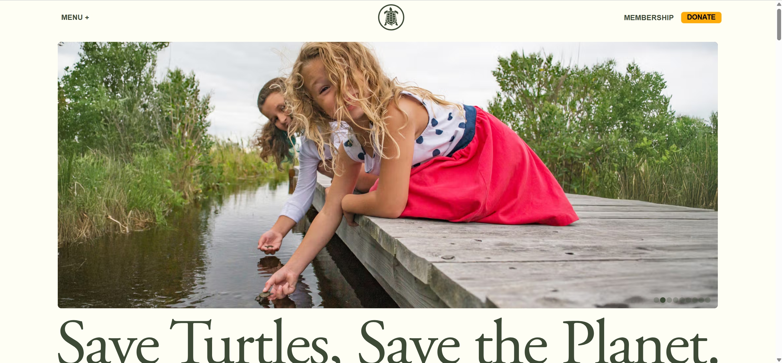 国际龟类保育组织（TC）