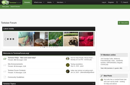 Tortoise Forum/ 国际