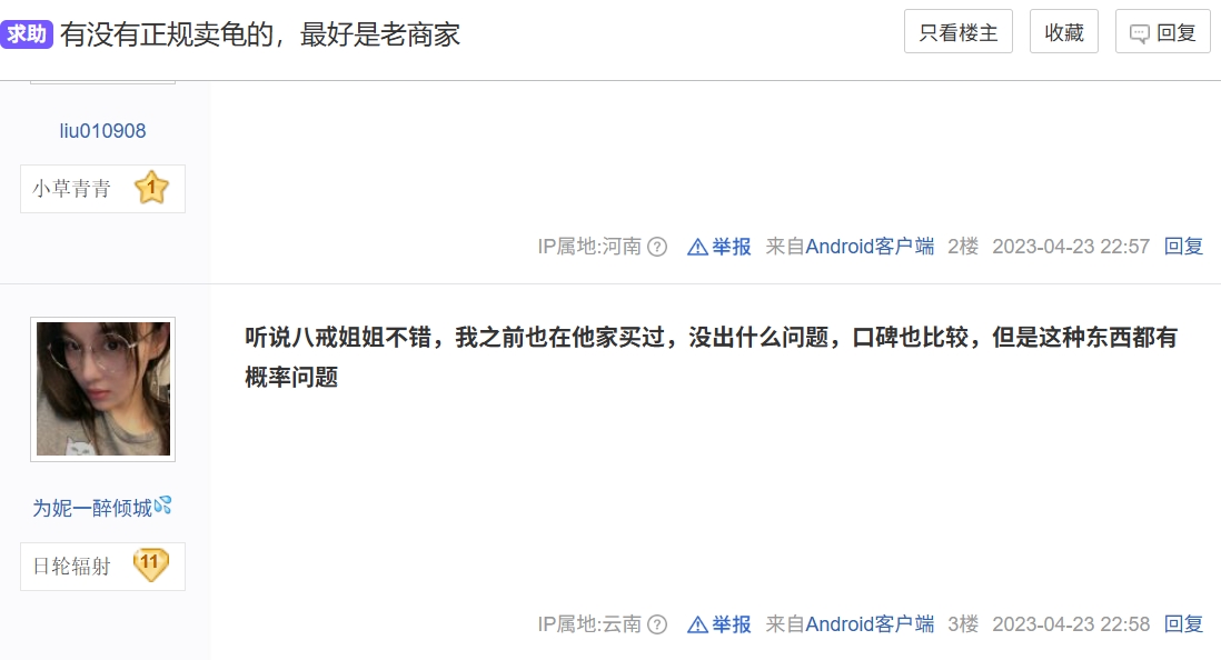 [多品种] 请叫我八戒姐姐