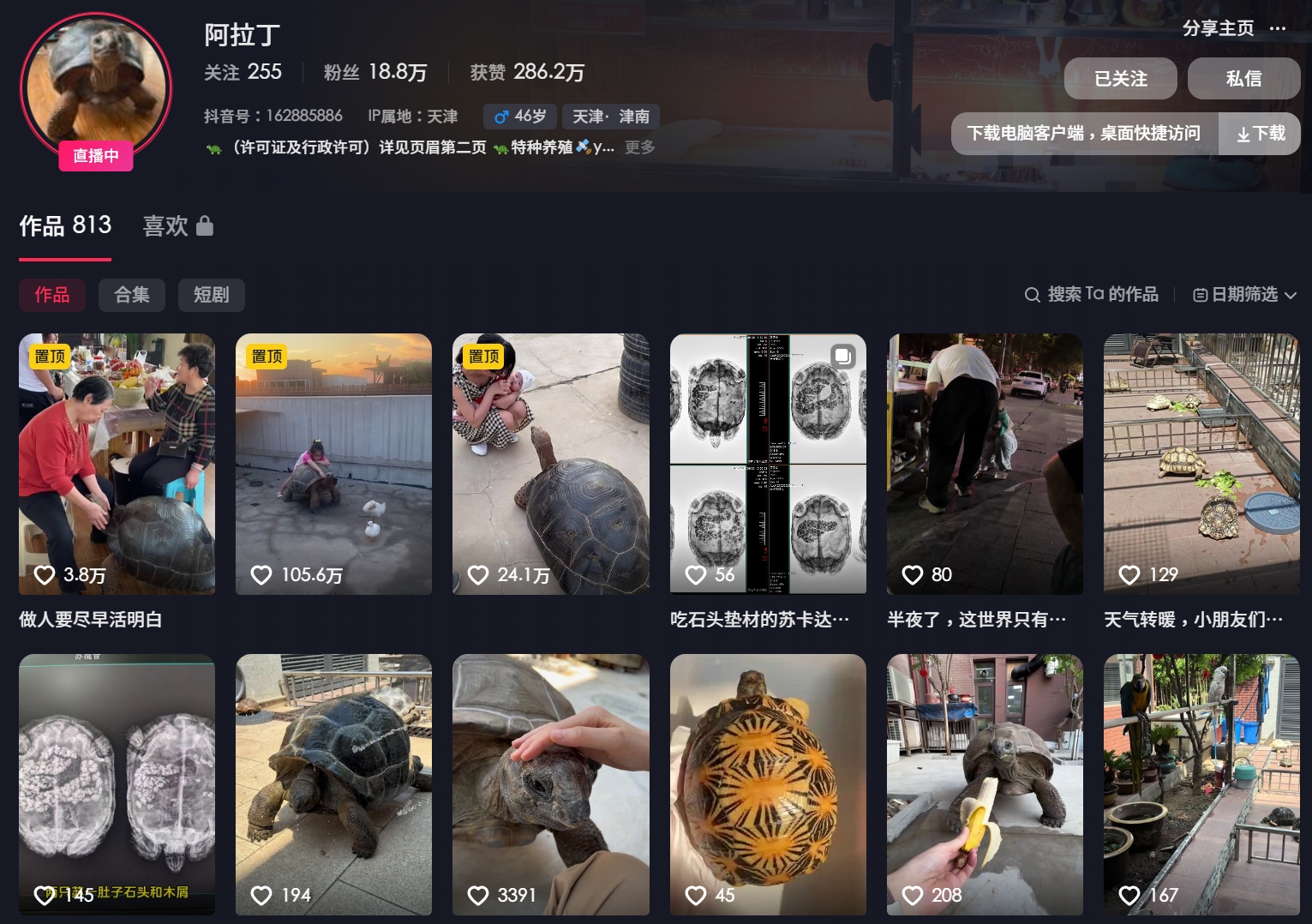 [陆龟] 阿拉丁陆龟养殖