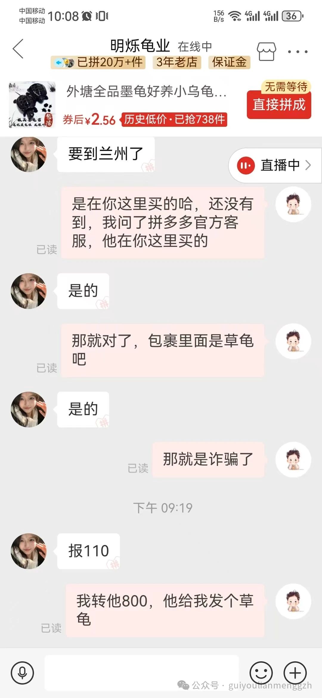 支付宝付款800购买一只巨头苗子，骗子用12元购买的两只草龟苗子冒充巨头苗子