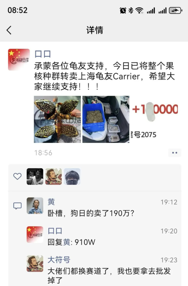 果核惊现910万大单！