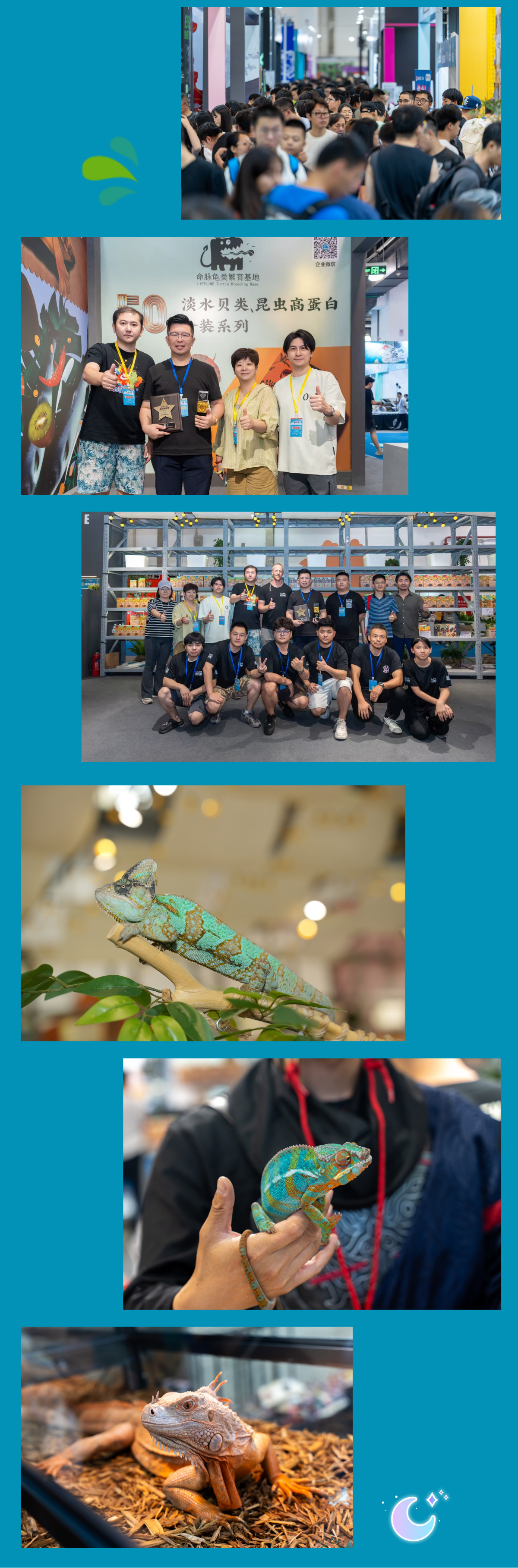 圆满收官 | 2025上海龟谷世界名龟展暨爬宠狂欢节精彩回顾，明年再聚！