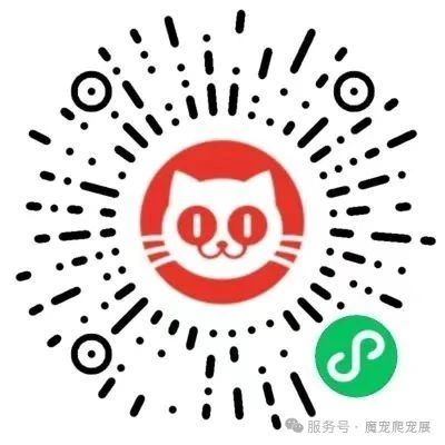 2025华东魔宠展_灵龟之家龟展（上海·顾村站）/门票买票方式，9月12-14日