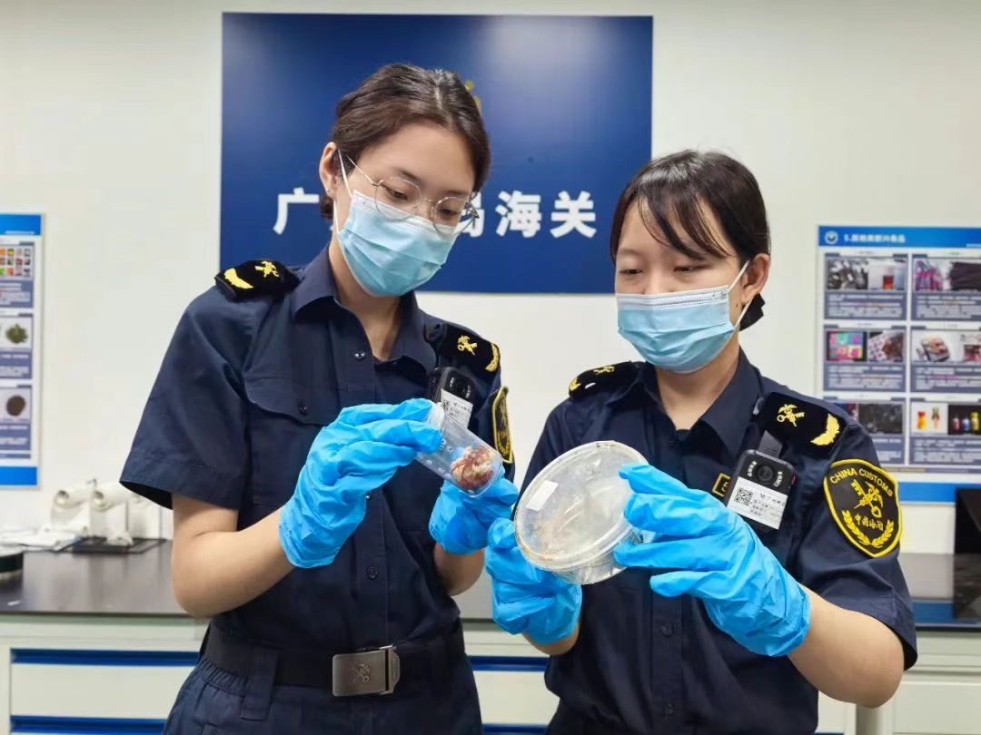 “异宠”:你们的喜欢害了我