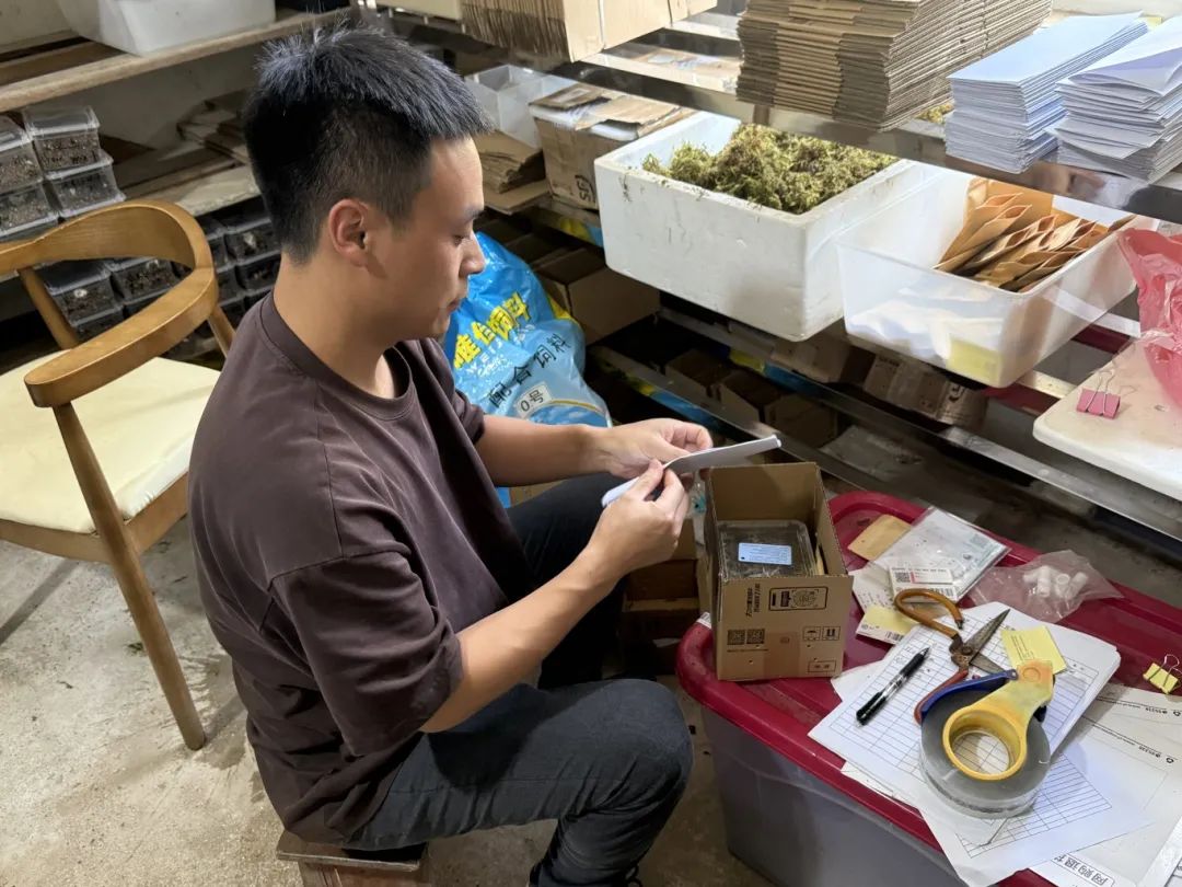 池州“90后”表兄弟,卖乌龟年产值300万元!