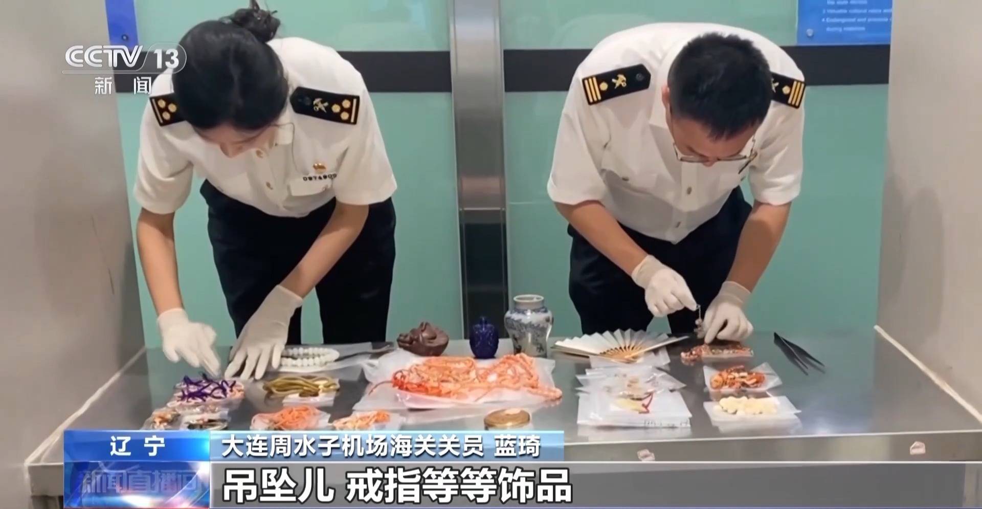 行李内藏乌龟、鳄鱼 海关查获多只濒危活体动物