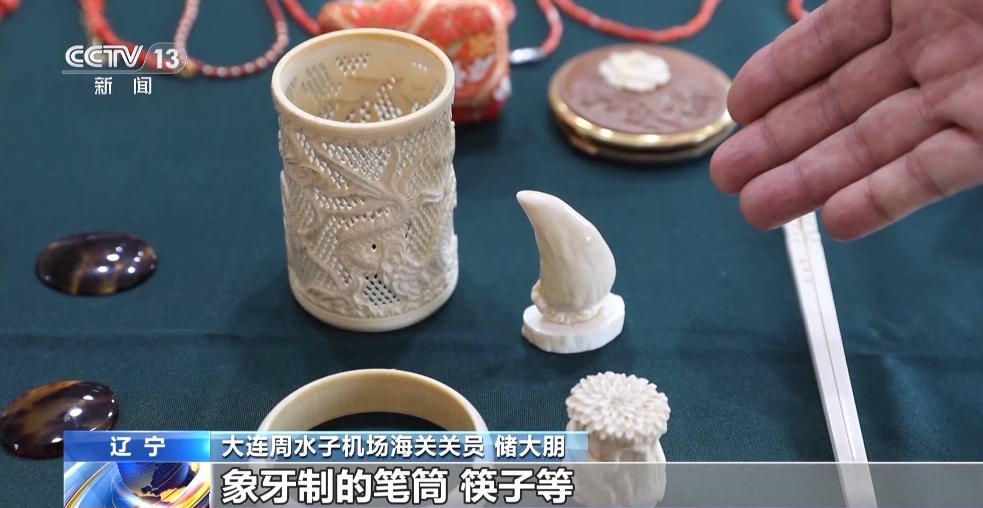 行李内藏乌龟、鳄鱼 海关查获多只濒危活体动物