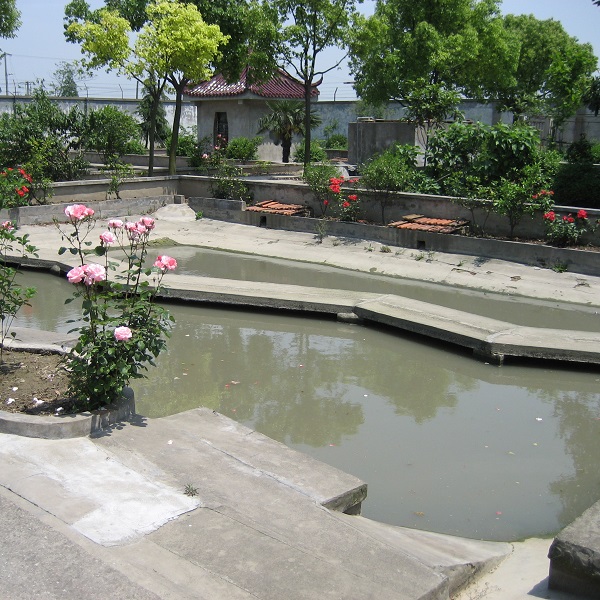 [黄缘] 太仓丰达种龟场· 张景春创办