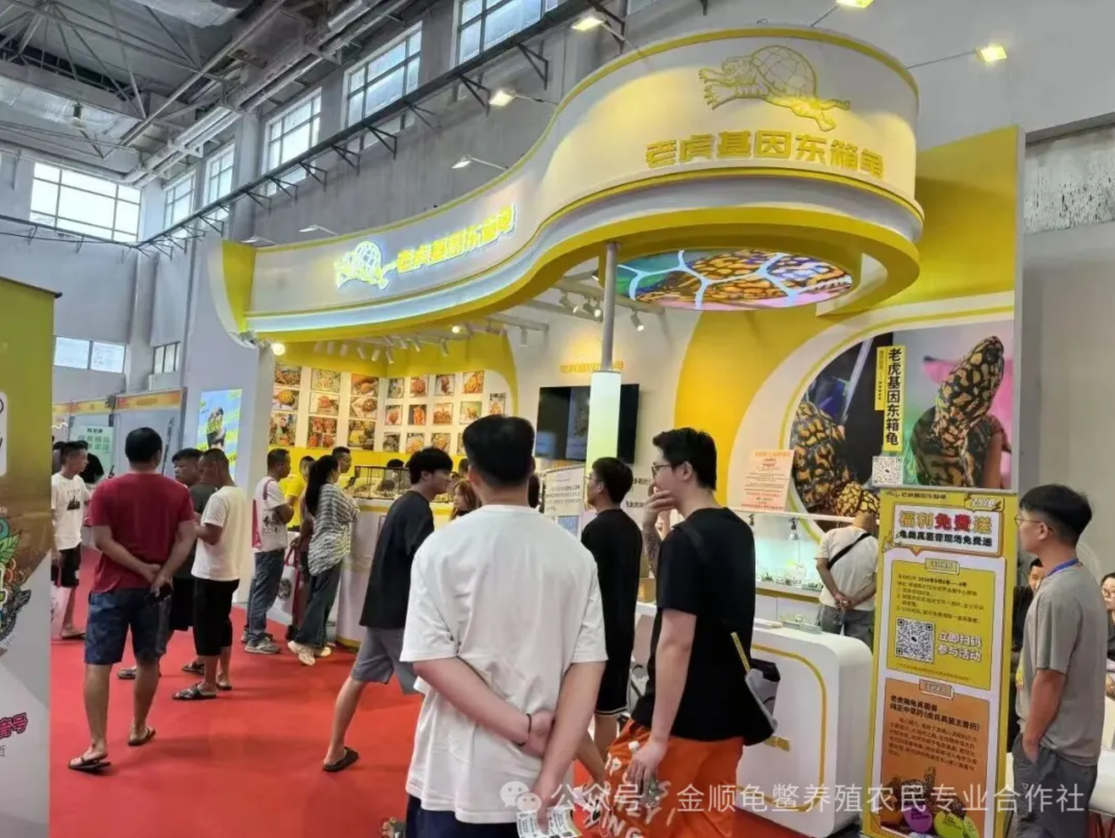 2025第八届“仲信”世界名龟展9月19日在顺德陈村璀璨启幕