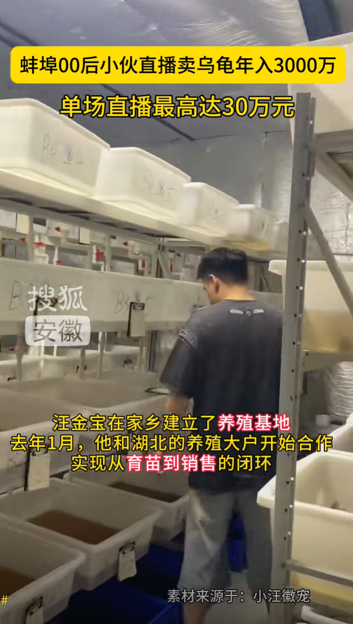 [多品种] 小汪徽宠