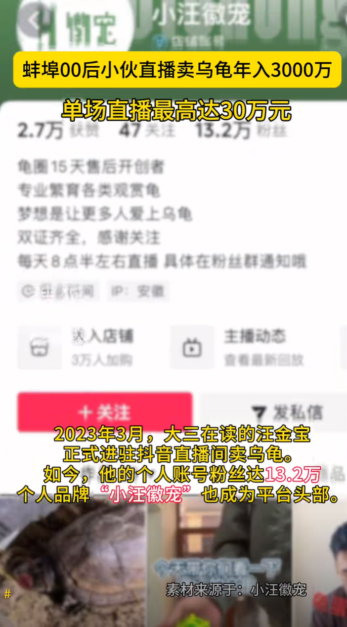 [多品种] 小汪徽宠