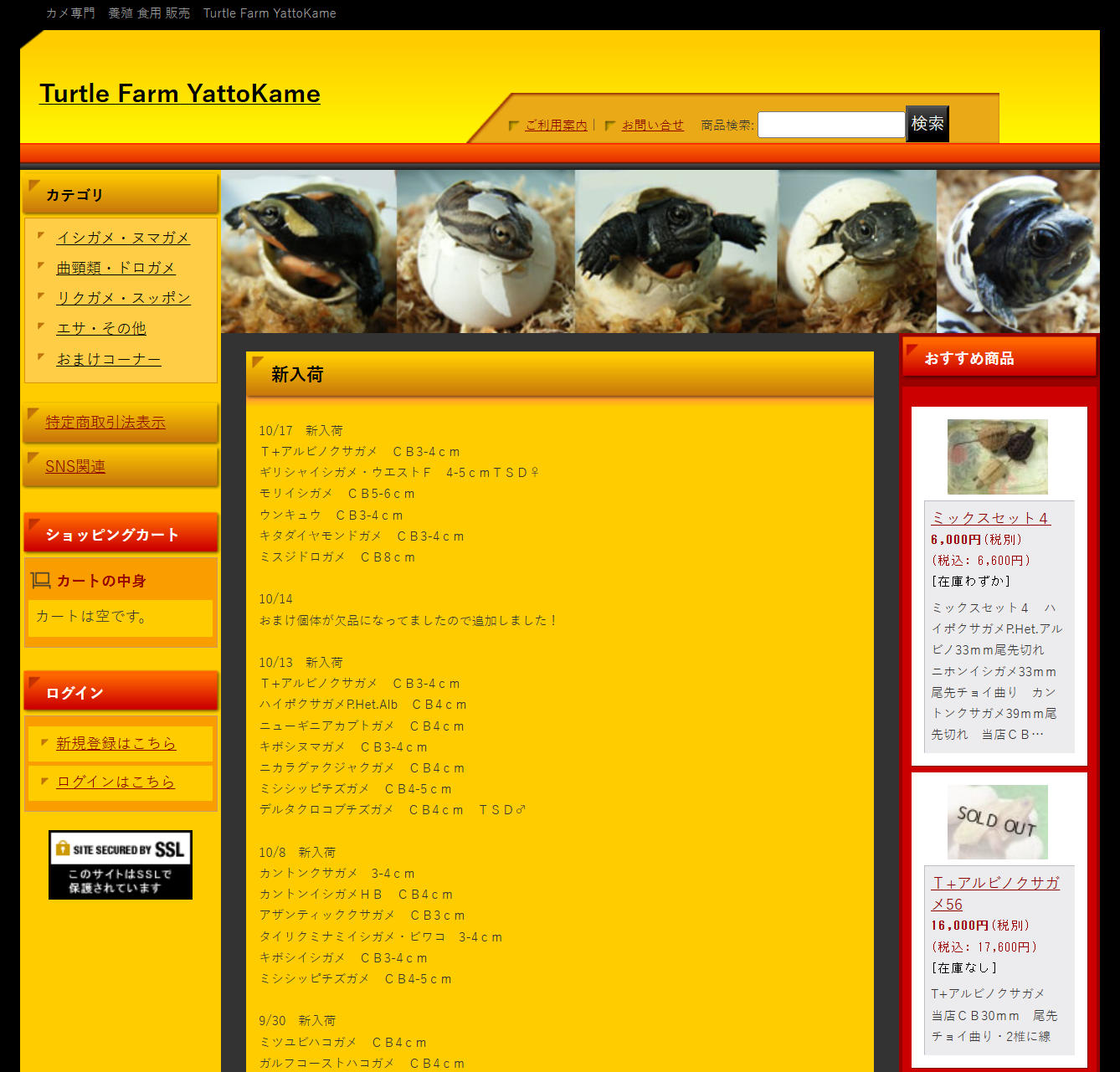 Turtle Farm YattoKame / 日本