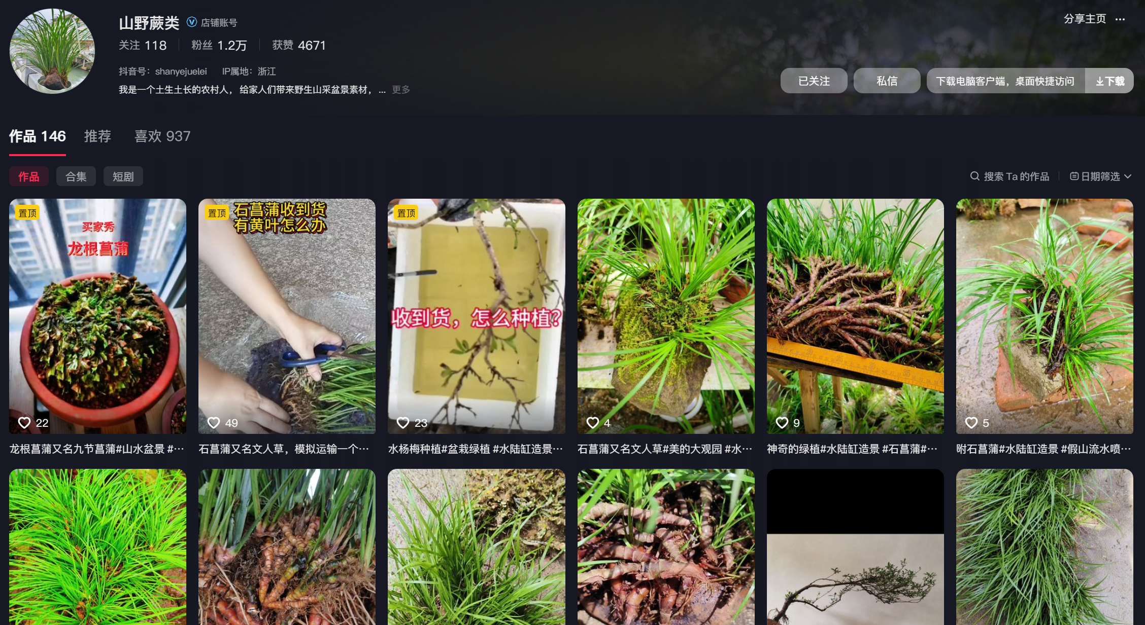 [造景绿植]山野蕨类