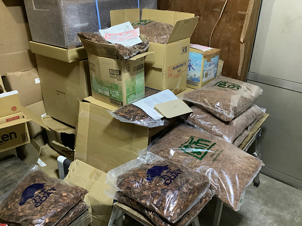 kamechikara / 日本