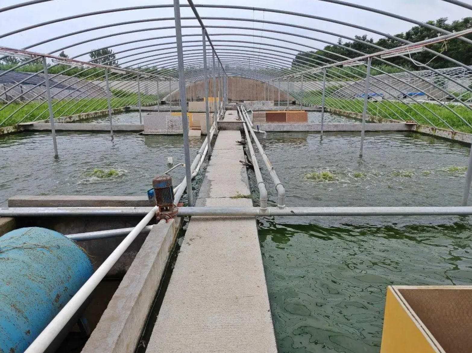 浙江省农业农村厅等六部门印发关于促进宠物经济发展的意见的通知