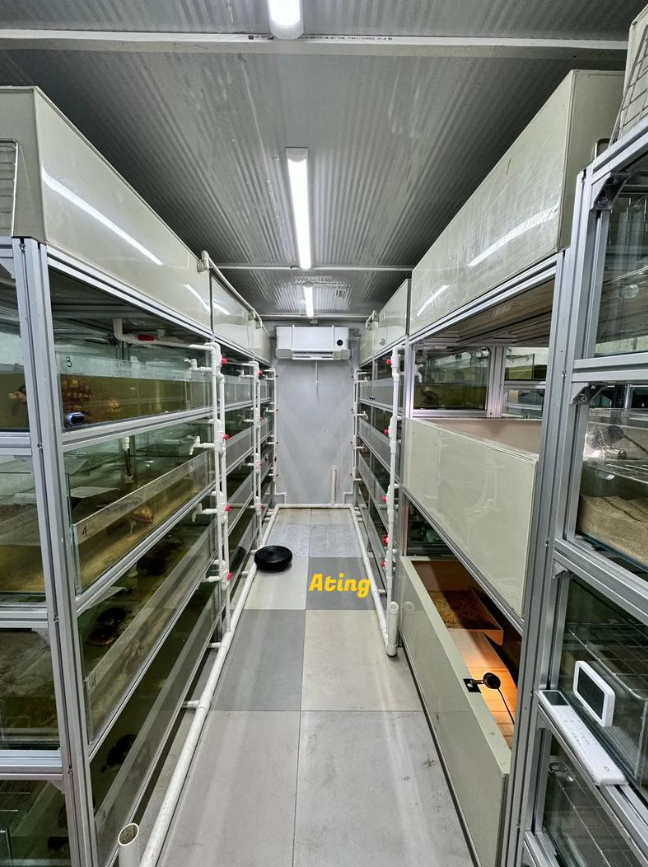 浙江省农业农村厅等六部门印发关于促进宠物经济发展的意见的通知