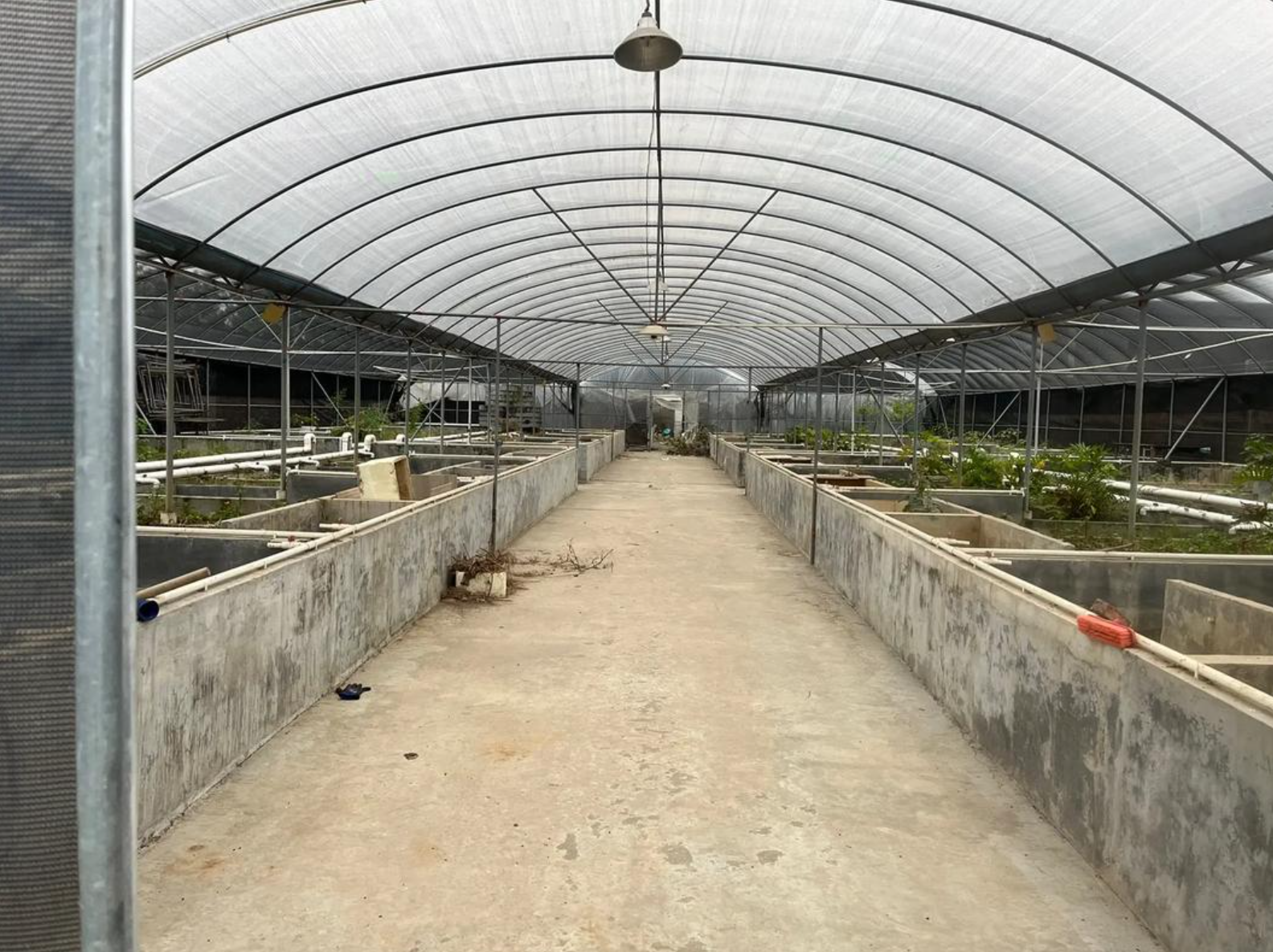 浙江省农业农村厅等六部门印发关于促进宠物经济发展的意见的通知