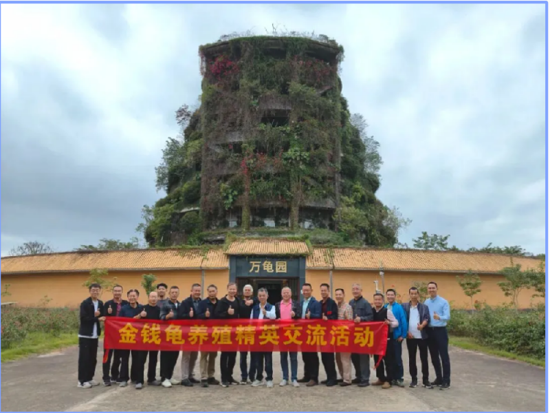 金钱龟养殖精英座谈会在惠州李艺金钱龟生态园开展