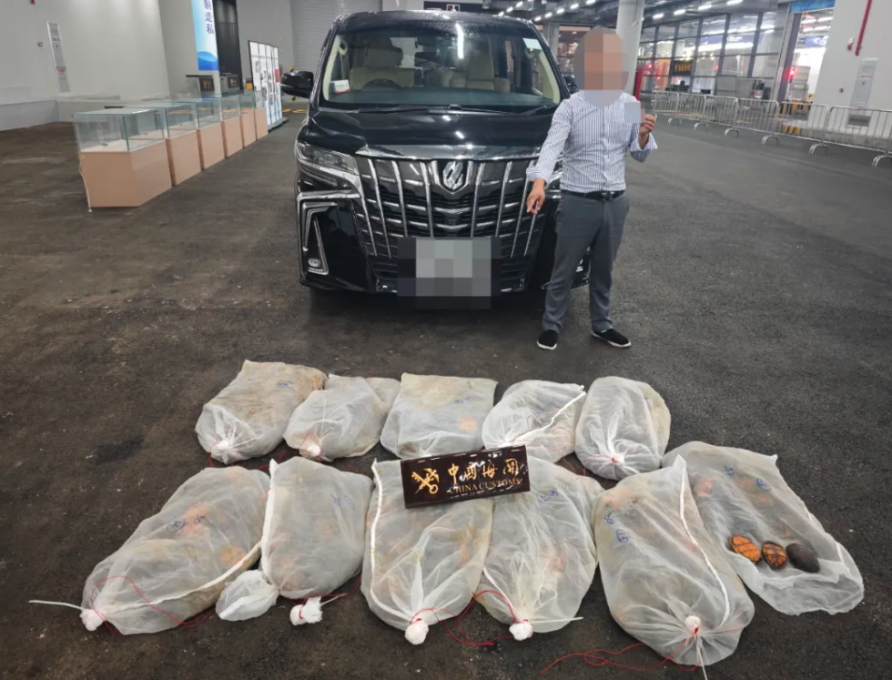珠海拱北海关截获红面蛋龟374只，厦门机场海关截获大量鳖甲