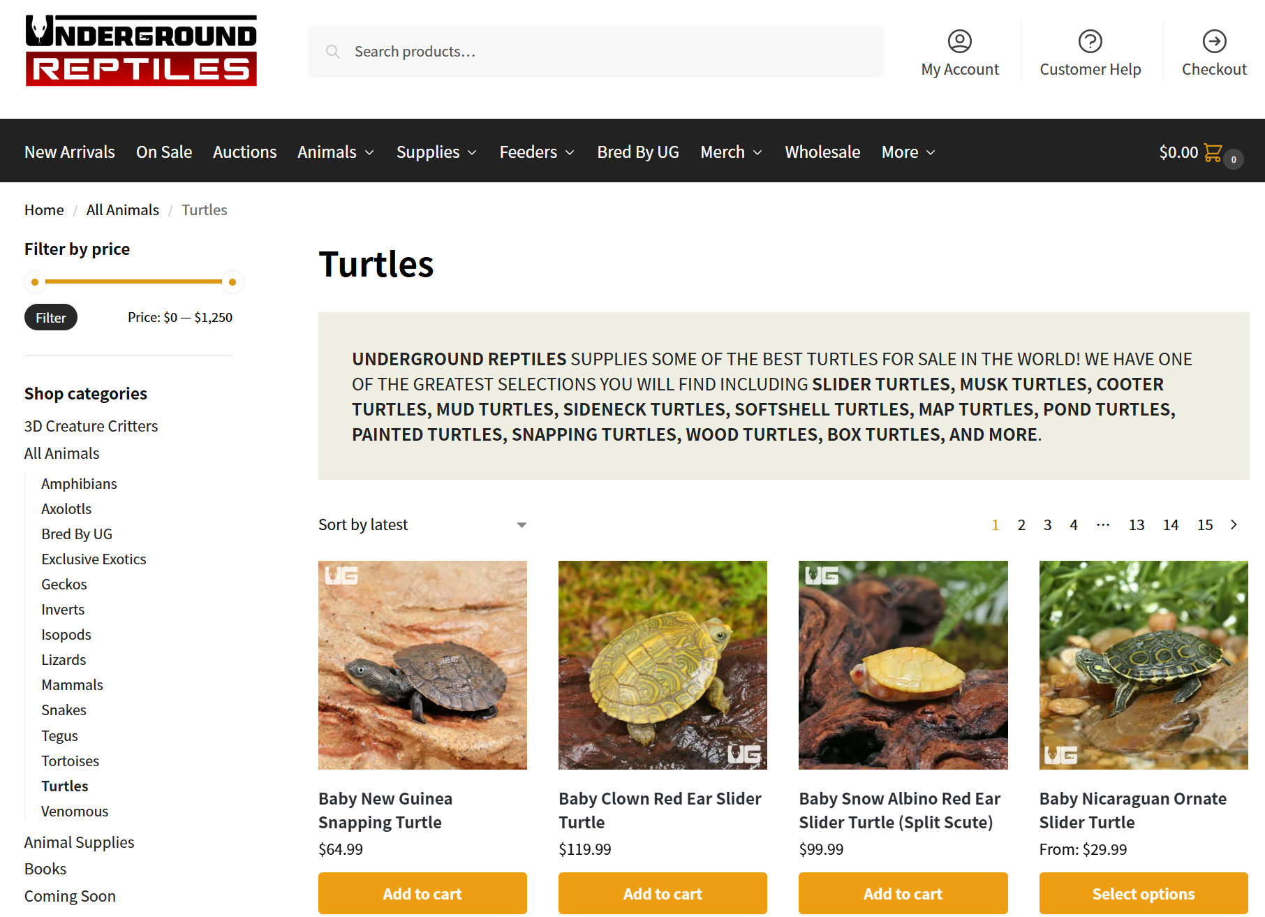 Underground Reptiles / 美国