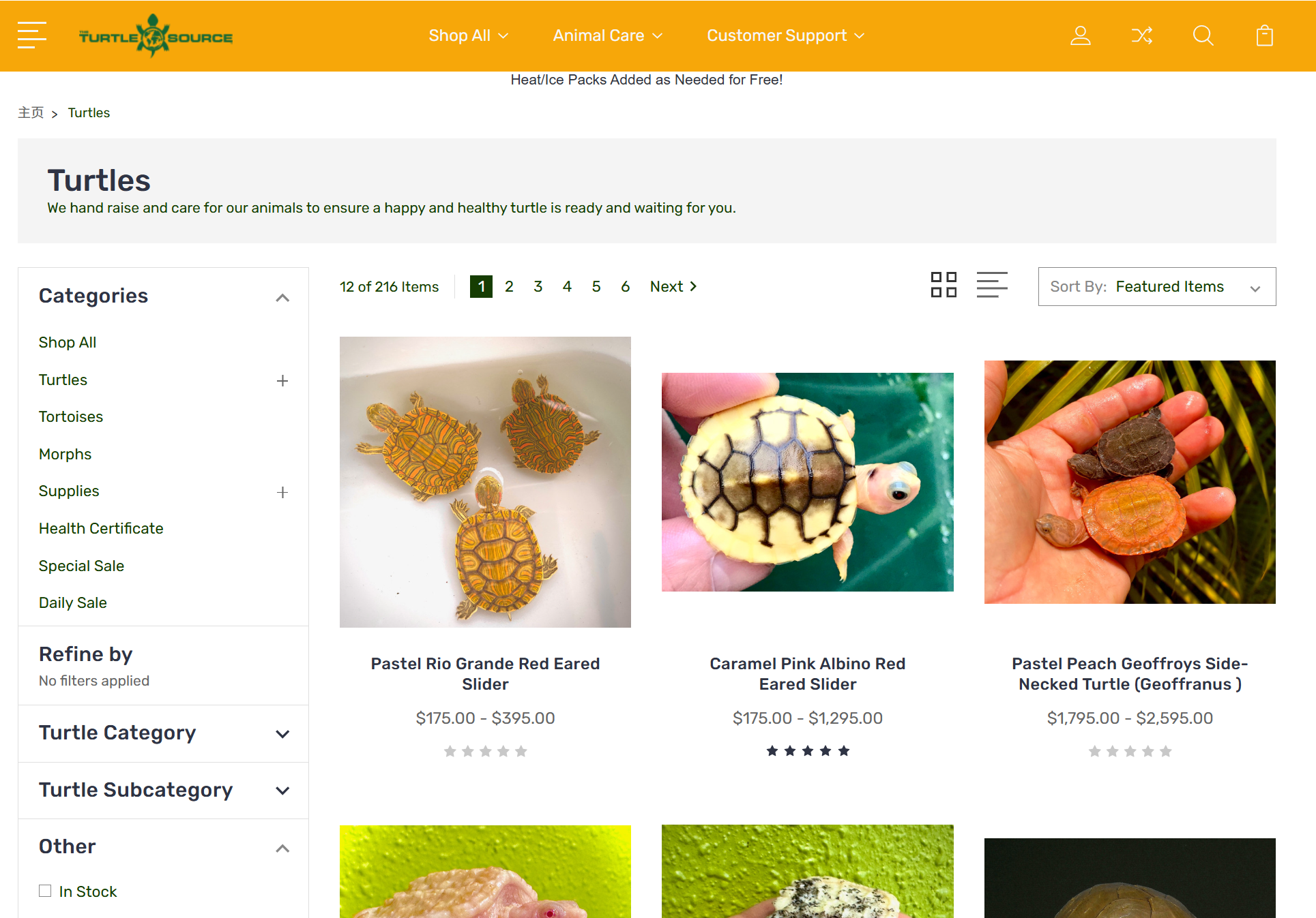 The Turtle Source / 美国