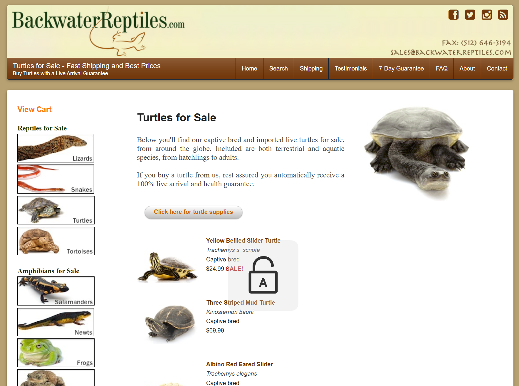 Backwater Reptiles / 美国