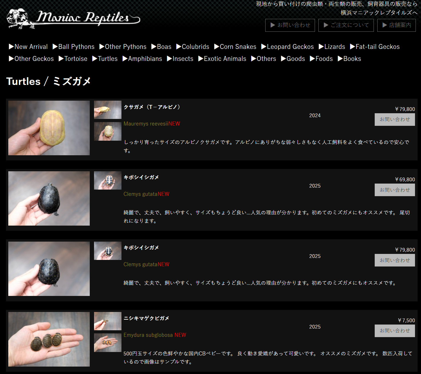 Maniac Reptiles / 日本